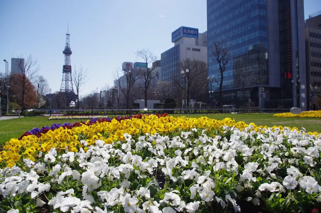 Sapporo Sapporo